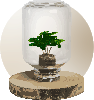 Concept afbeelding
