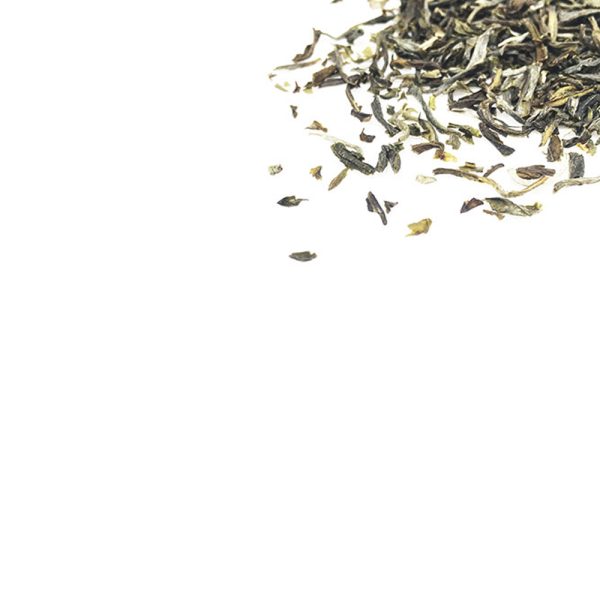 Green-Jasmine